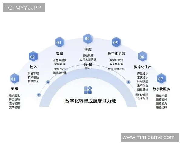 以互联网信息技术为驱动的数字化转型对传统行业的深远影响与未来发展趋势