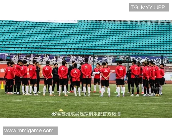 南京网球队的拼搏历程与荣耀时刻全景回顾