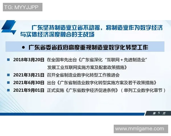 推动数字化转型提升网络基础设施建设助力经济高质量发展