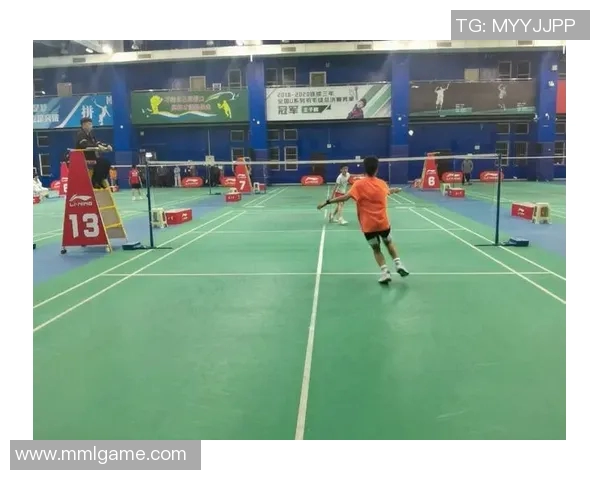 武汉羽毛球队的个人能力揭秘与训练之道探讨